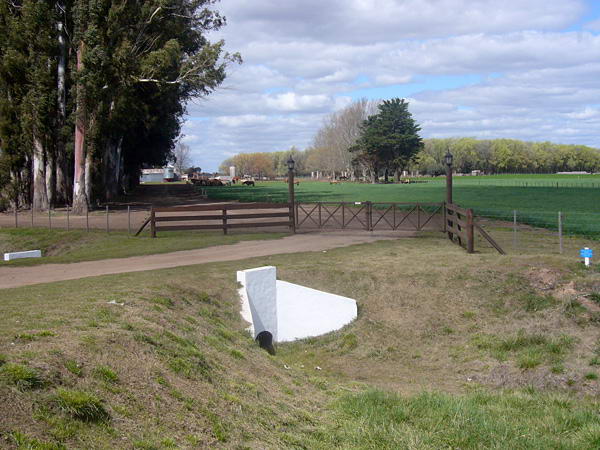 Ingresando a la cabaña