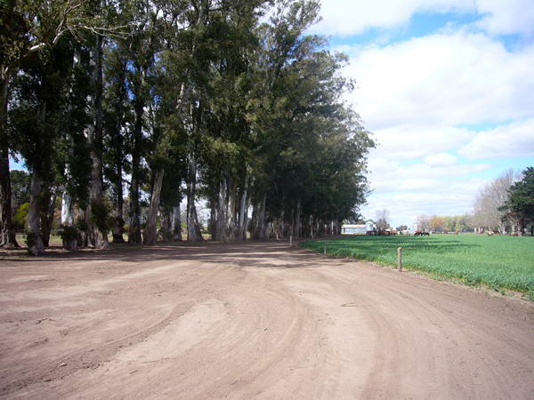 Ingresando a la cabaña