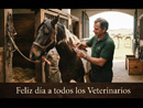 FELIZ DIA DEL VETERINARIO Y DEL INGENIERO AGRONOMO